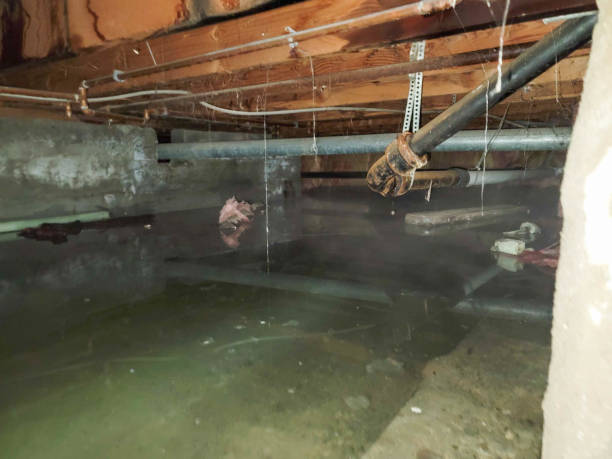 Water damage restoration experts in TX