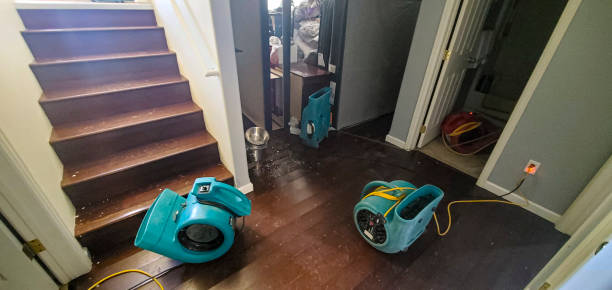 Best 24-hour water damage restoration  in Nolanville, TX