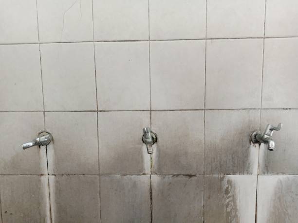 Best Emergency water damage restoration  in Nolanville, TX