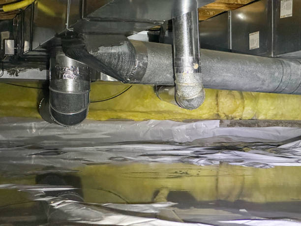 Best Water damage contractors near me  in Nolanville, TX