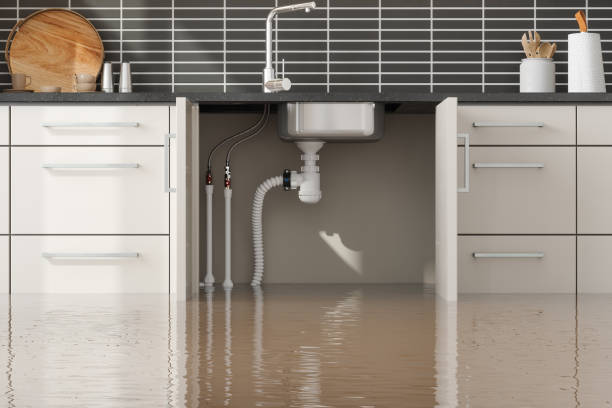 Best Flood damage cleanup  in Nolanville, TX
