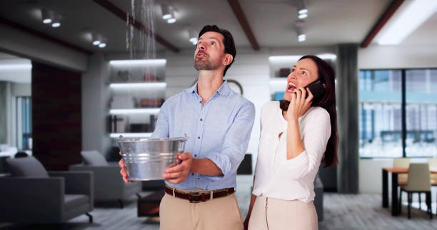 Best Basement water damage restoration  in Nolanville, TX